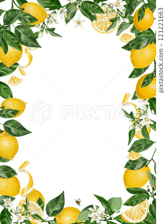 Frame of lemons and flowers. Botanical frame with orange blossom. Leaves, flowers and yellow citruses. watercolor illustration on a transparent background.  121221663