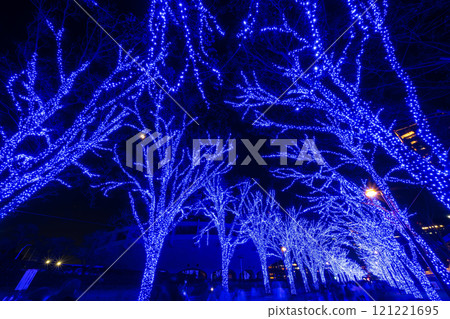 「東京」青之洞窟 SHIBUYA 2024（代代木公園）/澀谷區 121221695