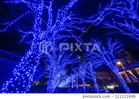 「東京」青之洞窟 SHIBUYA 2024(代代木公園)/澀谷區 「東京」青之洞窟 SHIBUYA 2024(代代木公園)/澀谷區 121221696