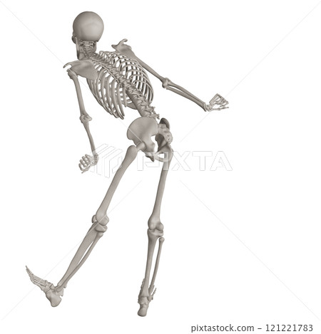 Posing skeleton with transparent background 121221783