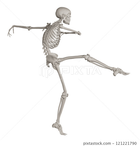 Posing skeleton with transparent background 121221790