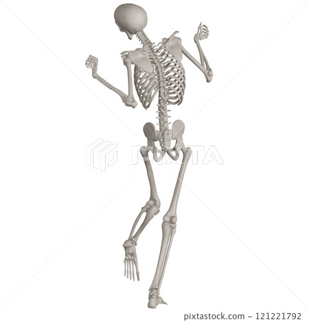 Posing skeleton with transparent background 121221792