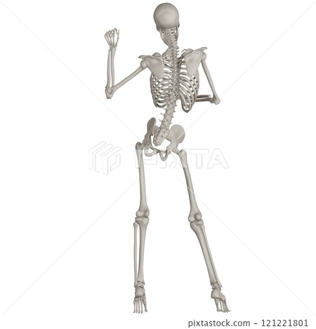 Posing skeleton with transparent background 121221801