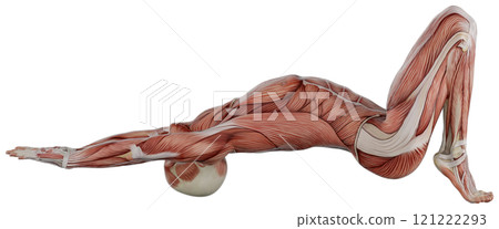 Posing male muscular body, transparent background Posing male muscular body, transparent background 121222293