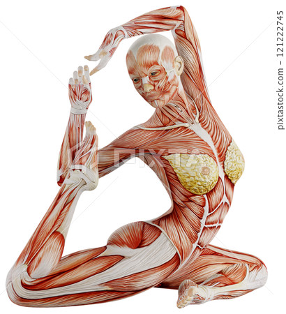肌肉發達的女性身體擺姿勢,背景透明 肌肉發達的女性身體擺姿勢,背景透明 121222745