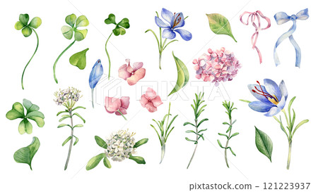 Clover, crocus and wild rosemary and hydrangea watercolor illustration hand drawn. Set of white blue pink blooms isolated. Spring meadow flowers and ribbon bow painted. Botanical floral clipart. Clover, crocus and wild rosemary and hydrangea watercolor illustration hand drawn. Set of white blue pink blooms isolated. Spring meadow flowers and ribbon bow painted. Botanical floral clipart. 121223937