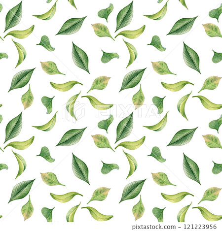 Tea leaf watercolor seamless pattern isolated on white. Green leaves botanical art hand drawn by pattern background. Greenery painted on repeated print. Foliate design for textile, package, wallpaper. 121223956