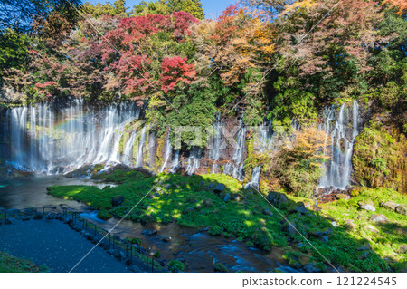 "Shizuoka Prefecture" Shiraito Falls surrounded by autumn leaves 121224545