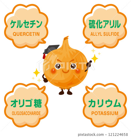 洋蔥的特性和洋蔥所含成分的插圖 121224658