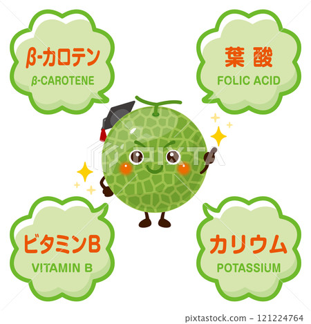 哈密瓜的性狀及所含成分圖解 哈密瓜的性狀及所含成分圖解 121224764