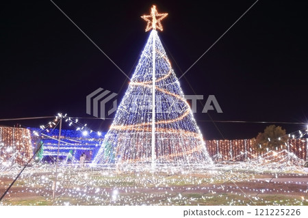 [Kagawa Prefecture] Winter National Sanuki Mannou Park (Illumination) 121225226