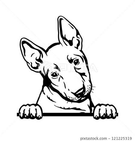 Peeking Puppy Bull Terrier - Dog Breed, Puppy Breed Vector File, detailed vector 121225319