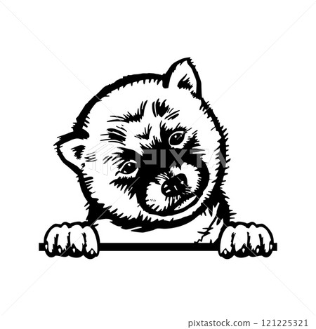 Peeking Puppy Akita Inu - Dog Breed, Puppy Breed Vector File, detailed vector 121225321