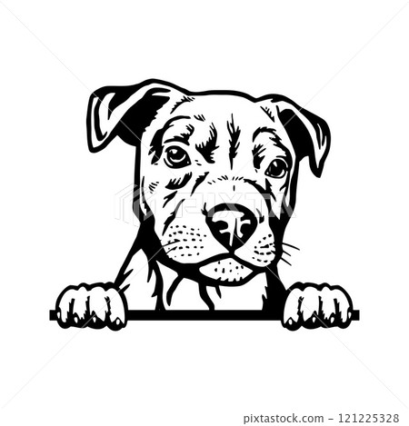 Peeking Puppy American Pit Bull - Dog Breed, Puppy Breed Vector File, detailed vector Peeking Puppy American Pit Bull - Dog Breed, Puppy Breed Vector File, detailed vector 121225328