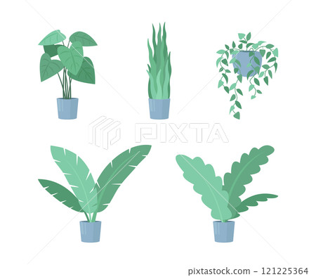 A set of decorative houseplants growing in pots, colorful flat design illustration. Home and office interior items 121225364