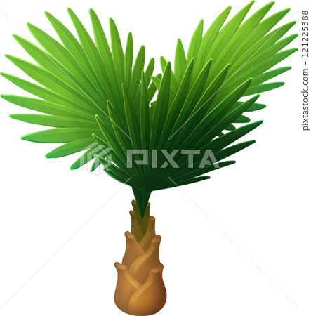 Small stylized Fan palm isolated on a white background. 121225388
