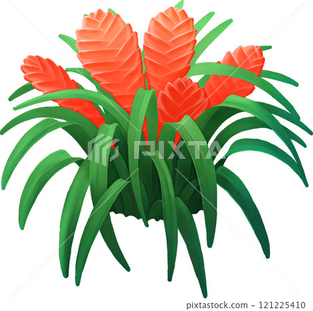 Stylized bromeliad bush isolated on a white background 121225410