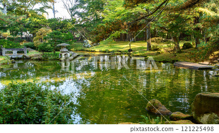 秋田縣大館市，國家指定名勝鳥形會館，沐浴午後陽光的庭園 121225498
