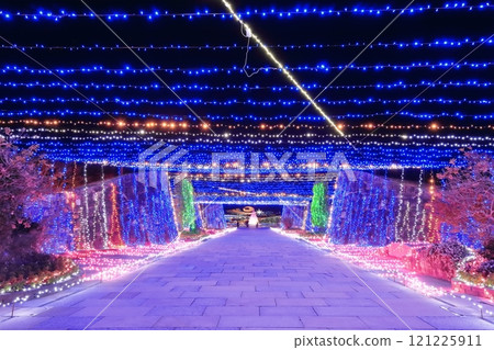 [Kagawa Prefecture] Winter National Sanuki Mannou Park (Illumination) 121225911