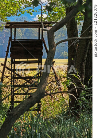 Rustic wooden hunting stand in dense green forest surrounded by tall trees and grasses Rustic wooden hunting stand in dense green forest surrounded by tall trees and grasses 121226079