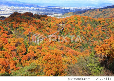 [大阪府]大阪府立森林星田花園星星鞦韆和紅葉 121226114