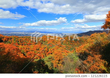 [Osaka Prefecture] Hoshida Park, Osaka Prefectural Forest: Star Swing and Autumn Leaves 121226115