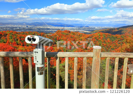 [Osaka Prefecture] Hoshida Park, Osaka Prefectural Forest: Star Swing and Autumn Leaves 121226120