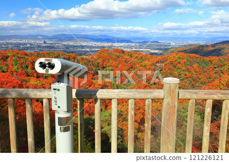 [Osaka Prefecture] Hoshida Park, Osaka Prefectural Forest: Star Swing and Autumn Leaves 121226121