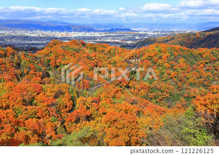 [Osaka Prefecture] Hoshida Park, Osaka Prefectural Forest: Star Swing and Autumn Leaves 121226125