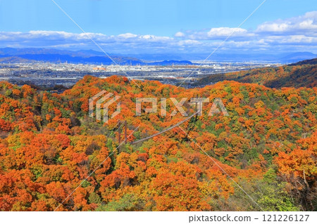 [Osaka Prefecture] Hoshida Park, Osaka Prefectural Forest: Star Swing and Autumn Leaves 121226127
