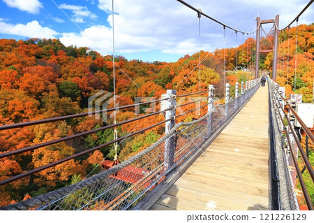 [大阪府]大阪府立森林星田花園星星鞦韆和紅葉 121226129