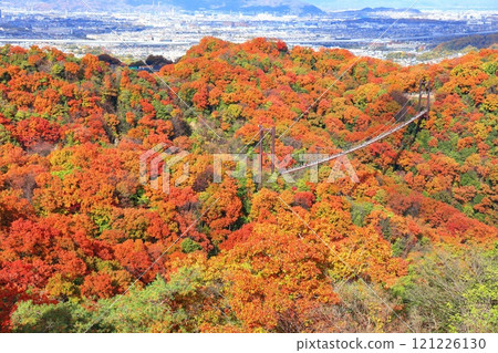 [大阪府]大阪府立森林星田花園星星鞦韆和紅葉 121226130