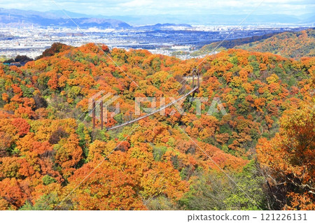[Osaka Prefecture] Hoshida Park, Osaka Prefectural Forest: Star Swing and Autumn Leaves 121226131