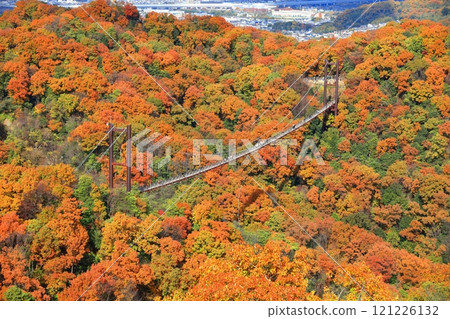 [Osaka Prefecture] Hoshida Park, Osaka Prefectural Forest: Star Swing and Autumn Leaves 121226132