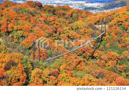 [Osaka Prefecture] Hoshida Park, Osaka Prefectural Forest: Star Swing and Autumn Leaves 121226134