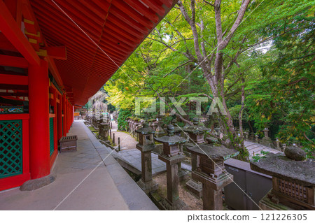 Kasuga Taisha Shrine - A UNESCO World Heritage Site, with a spectacular view of over 2,000 stone lanterns and 1,000 hanging lanterns 121226305