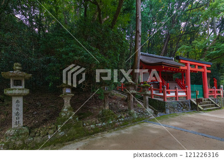 Kasuga Taisha Shrine - A UNESCO World Heritage Site, with a spectacular view of over 2,000 stone lanterns and 1,000 hanging lanterns Kasuga Taisha Shrine - A UNESCO World Heritage Site, with a spectacular view of over 2,000 stone lanterns and 1,000 hanging lanterns 121226316