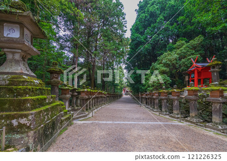 春日大社 - 聯合國教科文組織世界遺產，擁有 2000 多個石燈籠和 1000 個懸掛燈籠，蔚為壯觀 121226325
