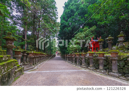 Kasuga Taisha Shrine - A UNESCO World Heritage Site, with a spectacular view of over 2,000 stone lanterns and 1,000 hanging lanterns 121226326