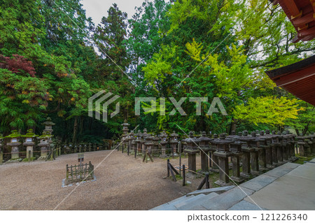 春日大社 - 聯合國教科文組織世界遺產，擁有 2000 多個石燈籠和 1000 個懸掛燈籠，蔚為壯觀 121226340