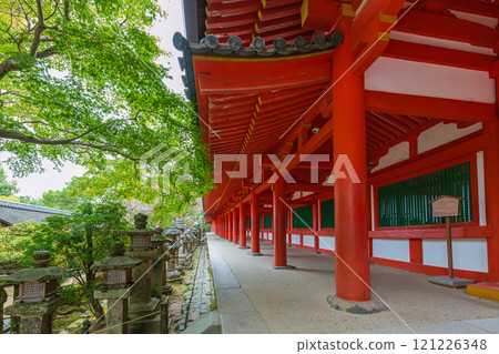 Kasuga Taisha Shrine - A UNESCO World Heritage Site, with a spectacular view of over 2,000 stone lanterns and 1,000 hanging lanterns Kasuga Taisha Shrine - A UNESCO World Heritage Site, with a spectacular view of over 2,000 stone lanterns and 1,000 hanging lanterns 121226348