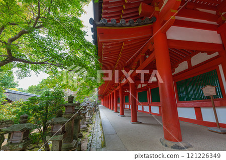 Kasuga Taisha Shrine - A UNESCO World Heritage Site, with a spectacular view of over 2,000 stone lanterns and 1,000 hanging lanterns 121226349