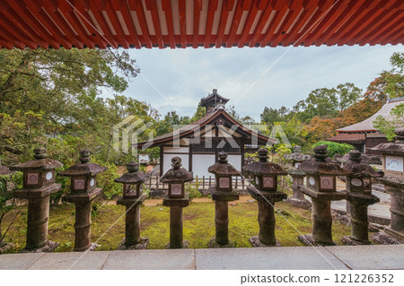 Kasuga Taisha Shrine - A UNESCO World Heritage Site, with a spectacular view of over 2,000 stone lanterns and 1,000 hanging lanterns 121226352