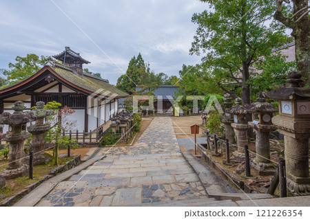 Kasuga Taisha Shrine - A UNESCO World Heritage Site, with a spectacular view of over 2,000 stone lanterns and 1,000 hanging lanterns 121226354
