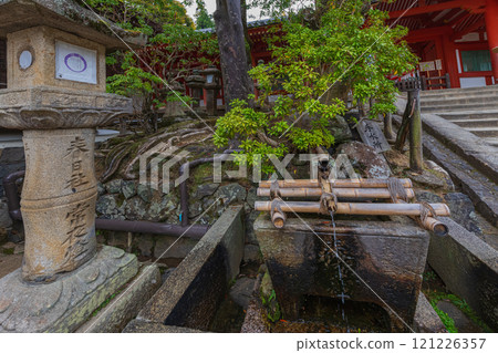 Kasuga Taisha Shrine - A UNESCO World Heritage Site, with a spectacular view of over 2,000 stone lanterns and 1,000 hanging lanterns Kasuga Taisha Shrine - A UNESCO World Heritage Site, with a spectacular view of over 2,000 stone lanterns and 1,000 hanging lanterns 121226357