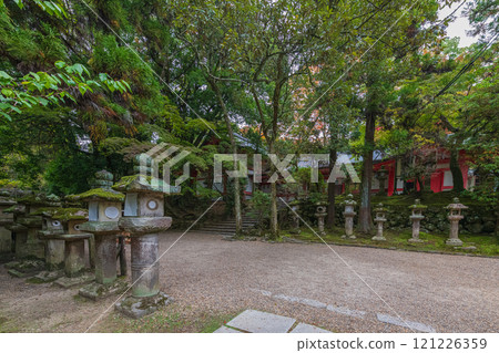 Kasuga Taisha Shrine - A UNESCO World Heritage Site, with a spectacular view of over 2,000 stone lanterns and 1,000 hanging lanterns 121226359