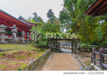 春日大社 - 聯合國教科文組織世界遺產，擁有 2000 多個石燈籠和 1000 個懸掛燈籠，蔚為壯觀 121226361