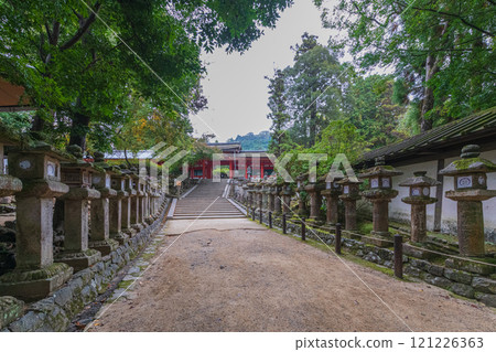 Kasuga Taisha Shrine - A UNESCO World Heritage Site, with a spectacular view of over 2,000 stone lanterns and 1,000 hanging lanterns 121226363