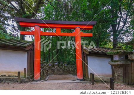 春日大社 - 聯合國教科文組織世界遺產,擁有 2000 多個石燈籠和 1000 個懸掛燈籠,蔚為壯觀 春日大社 - 聯合國教科文組織世界遺產,擁有 2000 多個石燈籠和 1000 個懸掛燈籠,蔚為壯觀 121226364