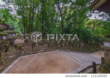Kasuga Taisha Shrine - A UNESCO World Heritage Site, with a spectacular view of over 2,000 stone lanterns and 1,000 hanging lanterns 121226365